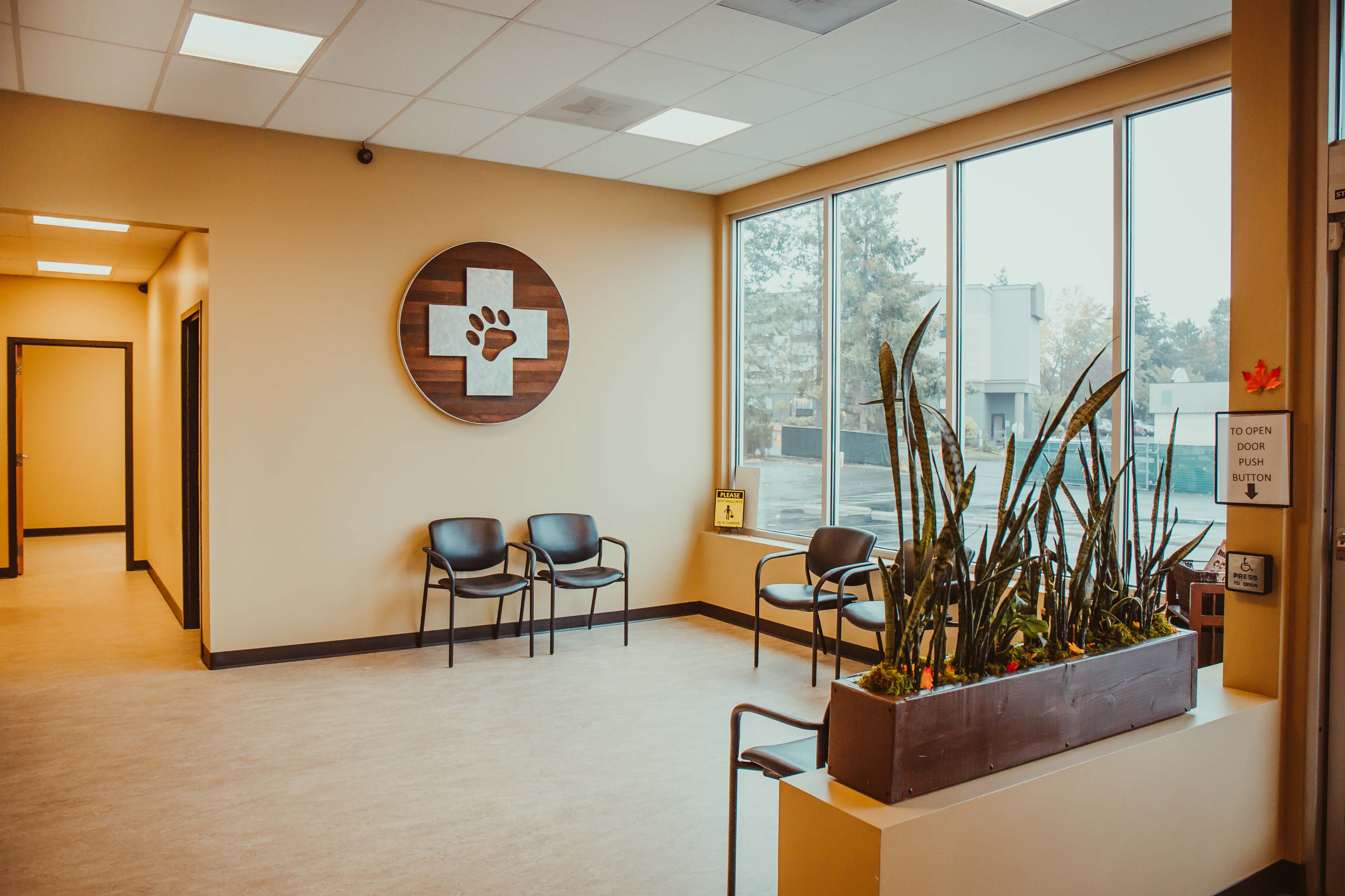 Boundary Bay Veterinary Specialty Hospital Bellingham, WA