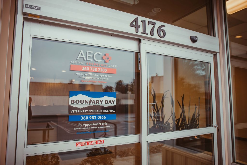 Boundary Bay Veterinary Specialty Hospital Bellingham, WA