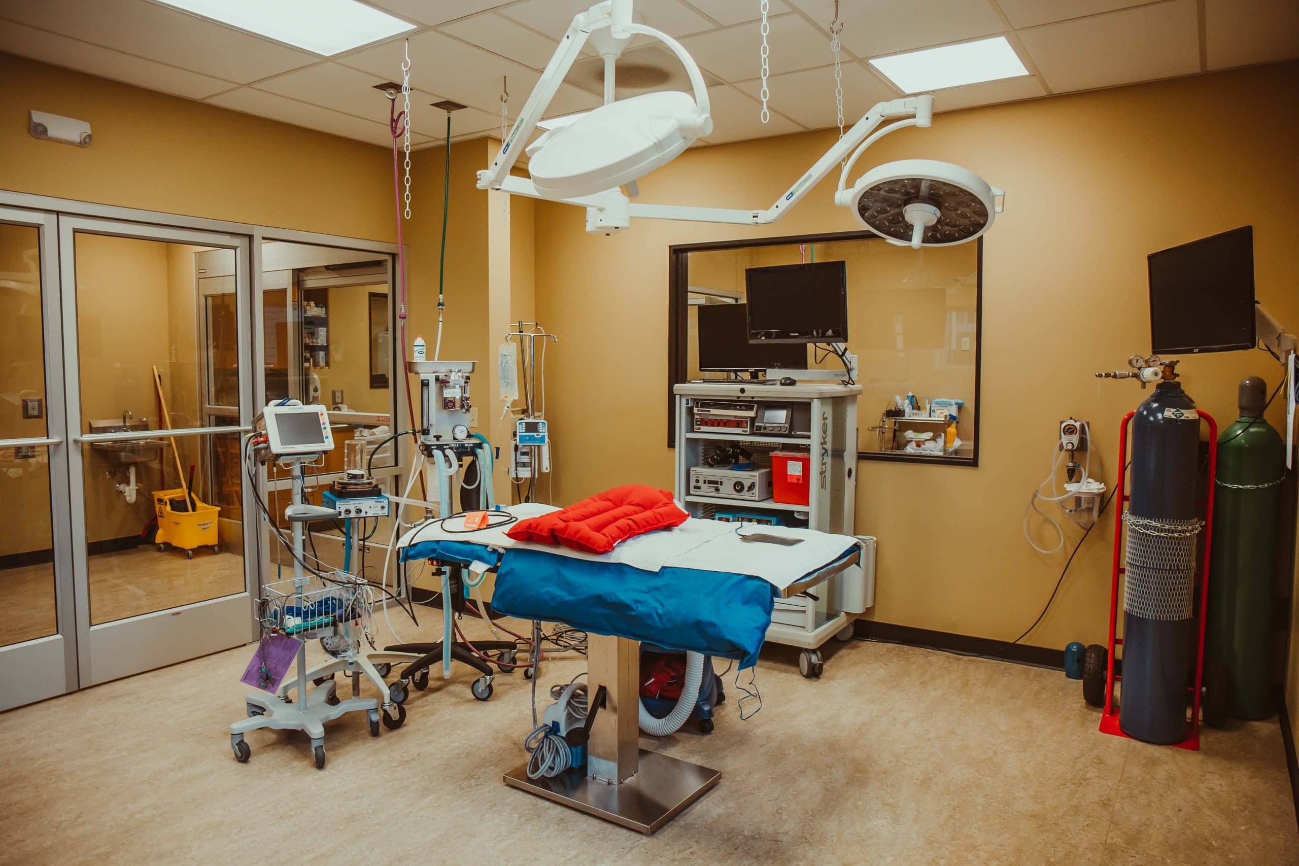 Boundary Bay Veterinary Specialty Hospital Bellingham WA